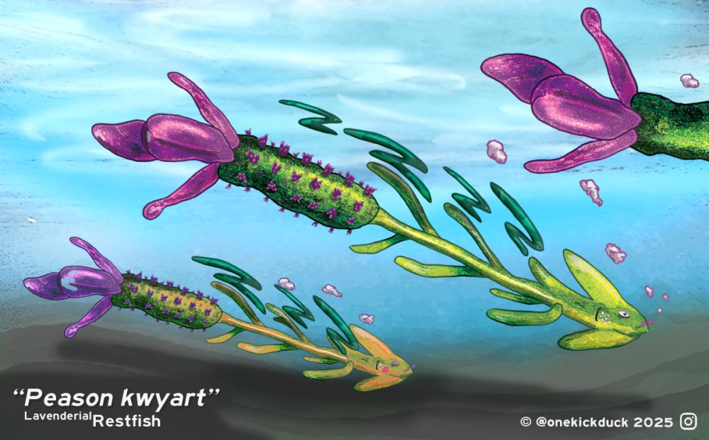 Spot the difference puzzle of a lavender flower-inspired fish